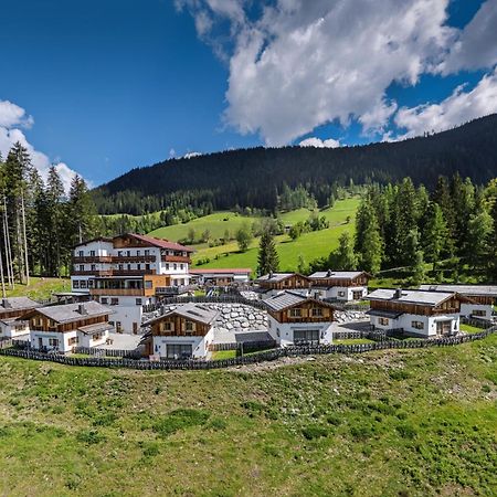 Das Eulersberg Apartments & Chalets Werfenweng Luaran gambar