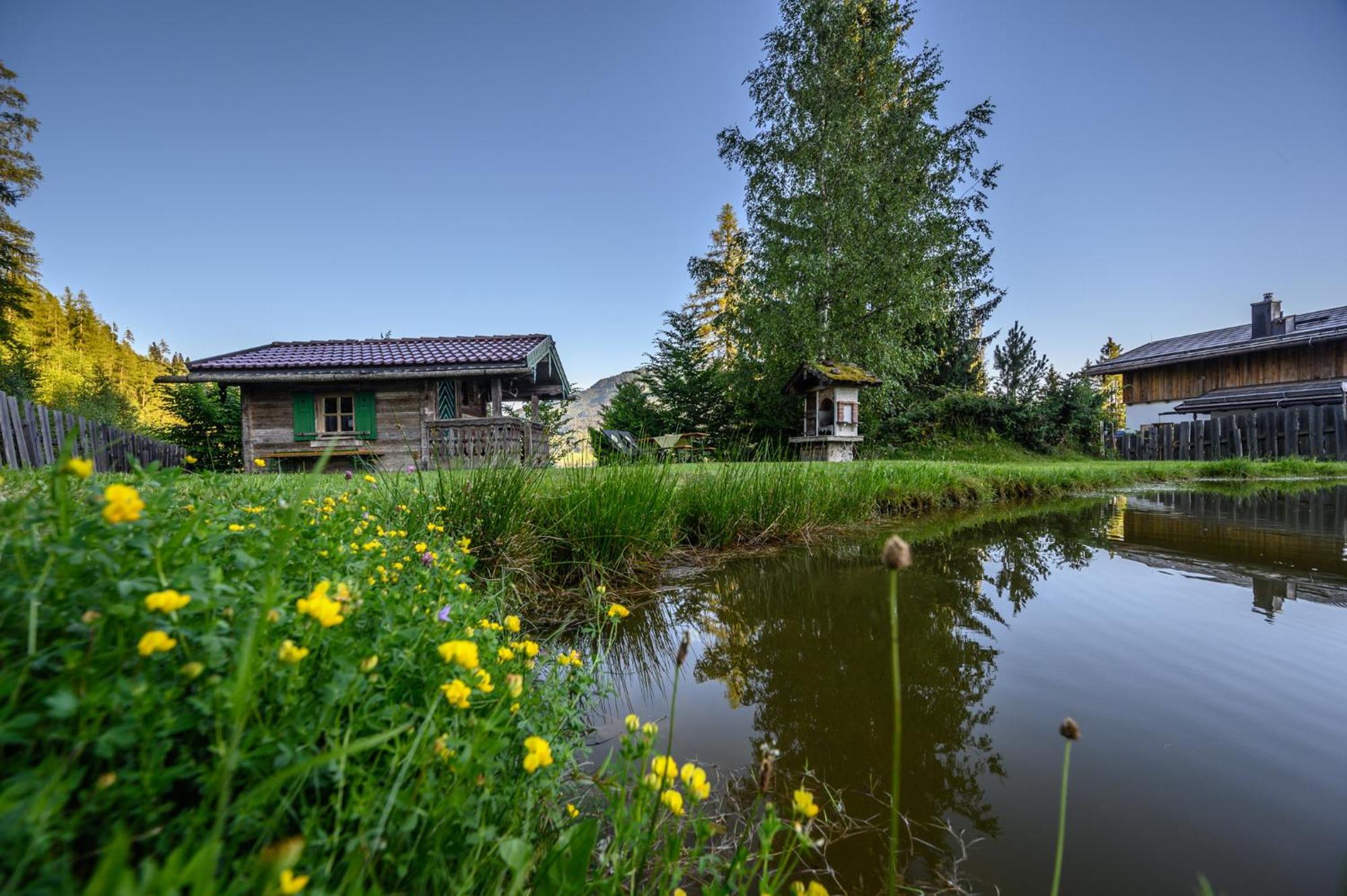 Das Eulersberg Apartments & Chalets Werfenweng Luaran gambar